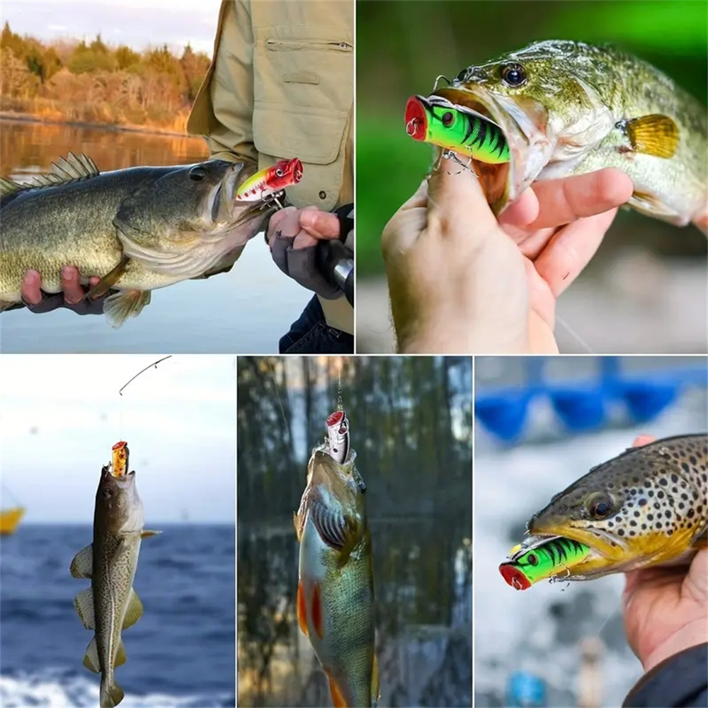 5Pcs Popper Fishing Lures 3d E - огляд і ціна Fishing Lure Popper